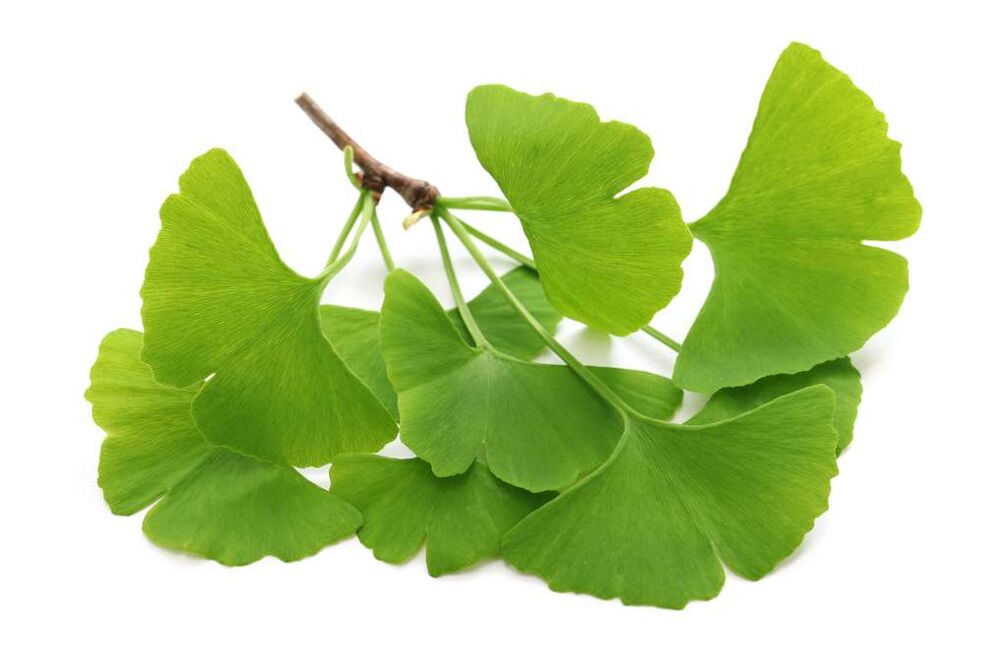 gingko biloba capsules Glucoren